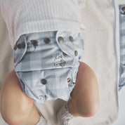 Winnie the Pooh's Picnic - Reusable Modern Cloth Nappy with Bamboo Terry Insert