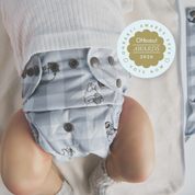 Winnie the Pooh's Picnic - Reusable Modern Cloth Nappy with Bamboo Terry Insert