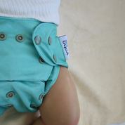 Seagrass Green 💚 Reusable Cloth Nappy + Bamboo Terry Insert